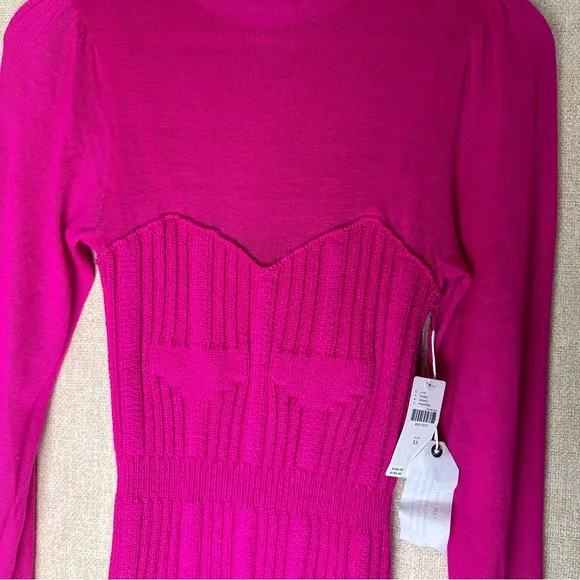 Anthropologie Pink Rose Size XS Long Sleeve Dress