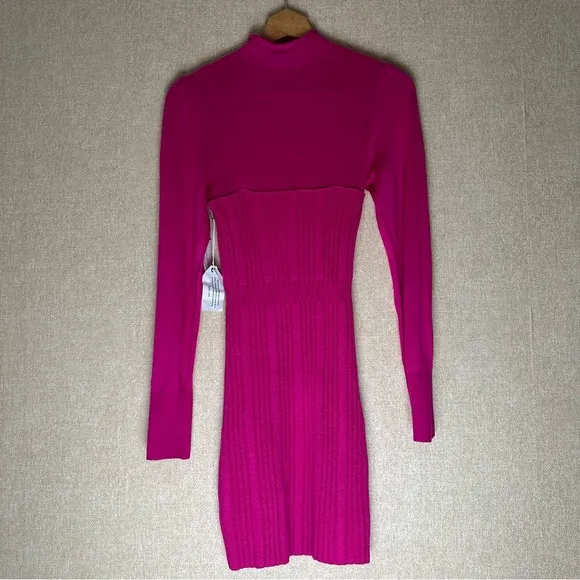 Anthropologie Pink Rose Size XS Long Sleeve Dress