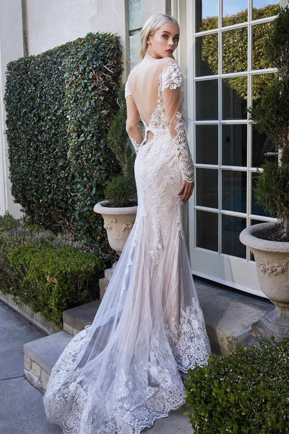 Cinderella Evening Dress A1022