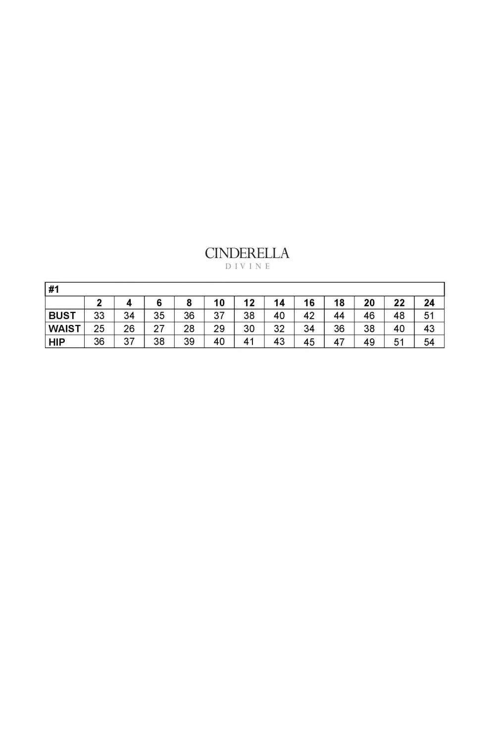 Cinderella Evening Dress A1022