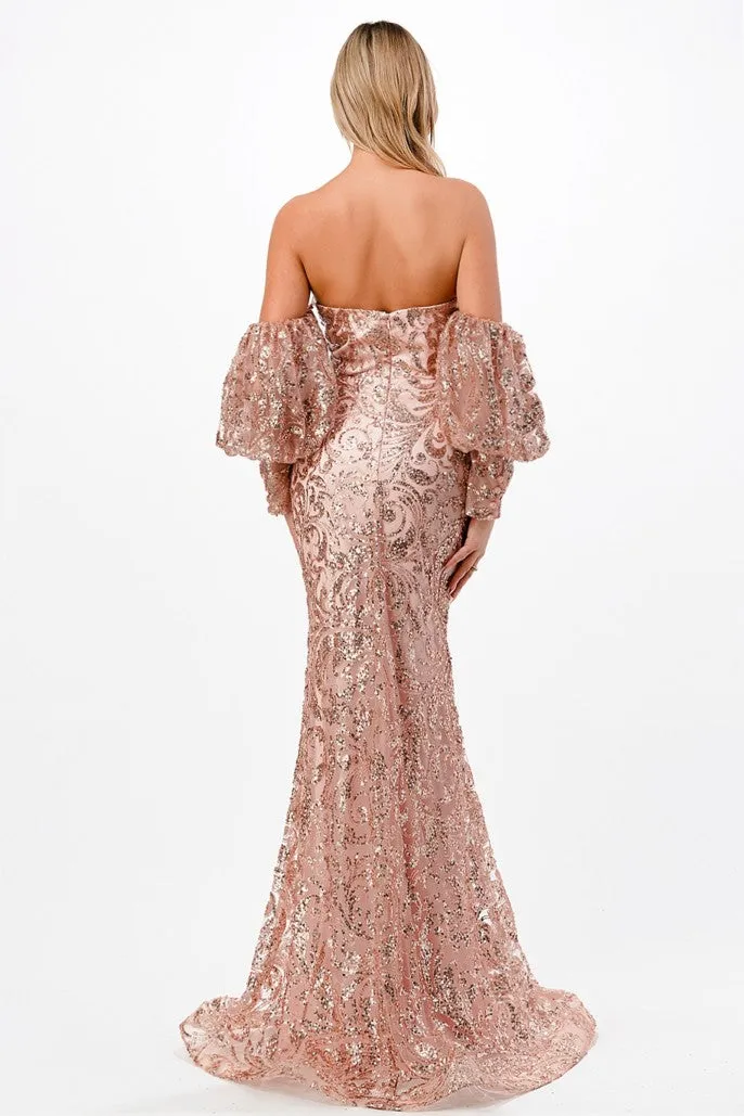 Cinderella Evening Dress J820
