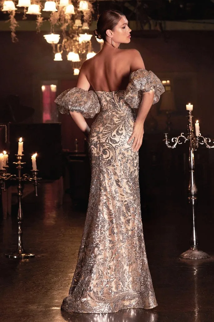 Cinderella Evening Dress J820