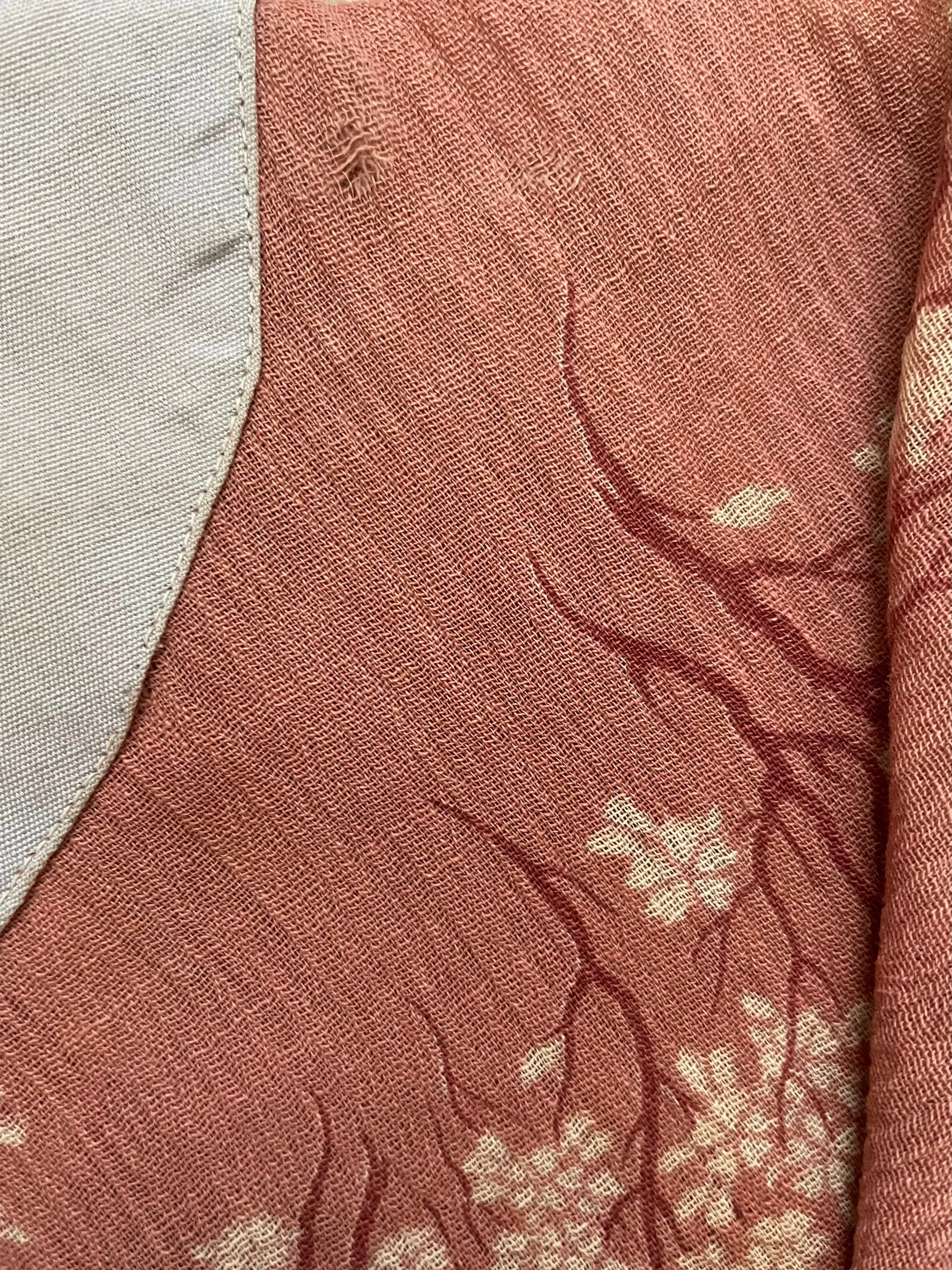 Edwardian Cherry Blossoms Gauze Negligee Dress