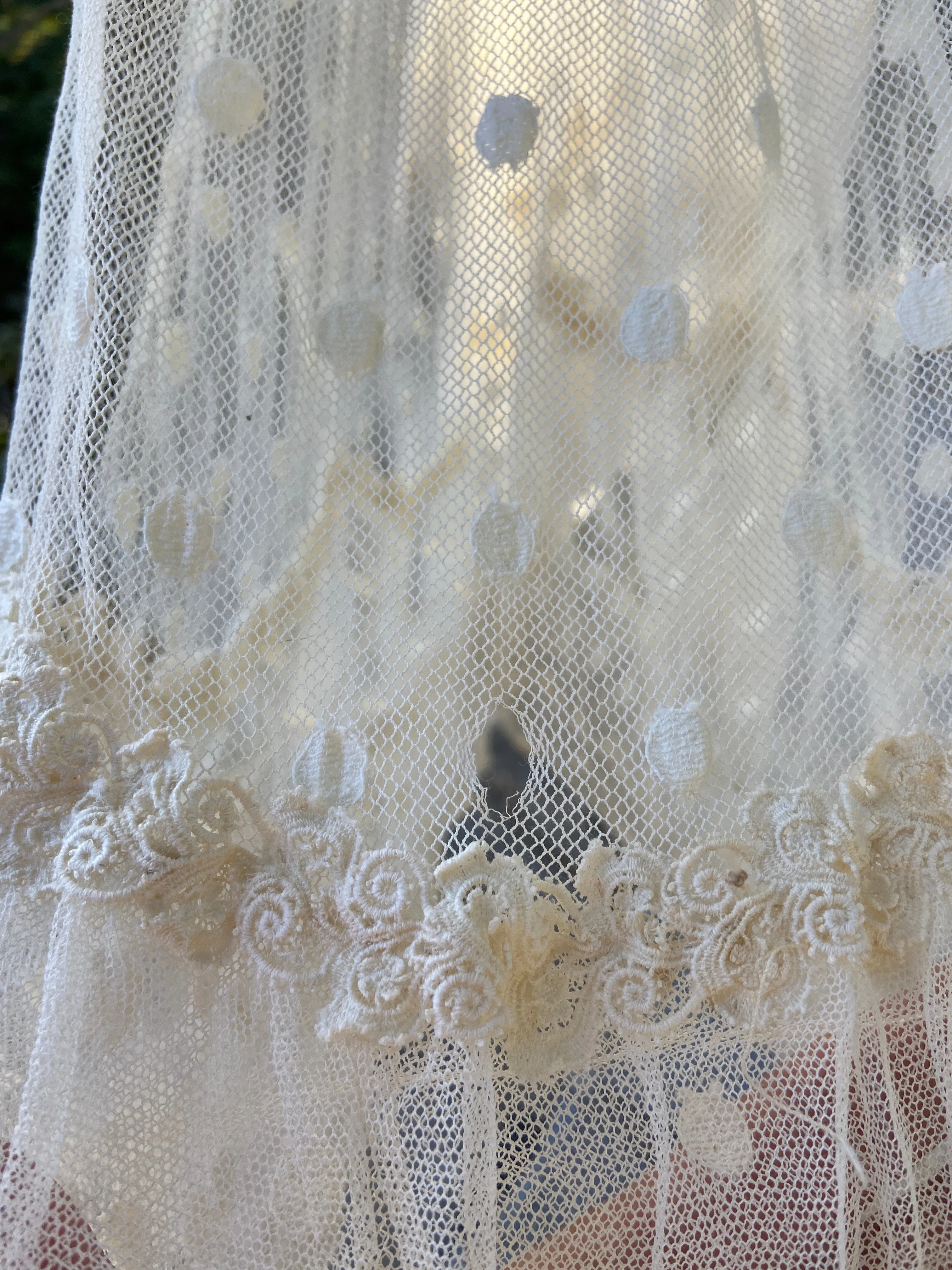 Edwardian Polka Dot Net Lace Dress