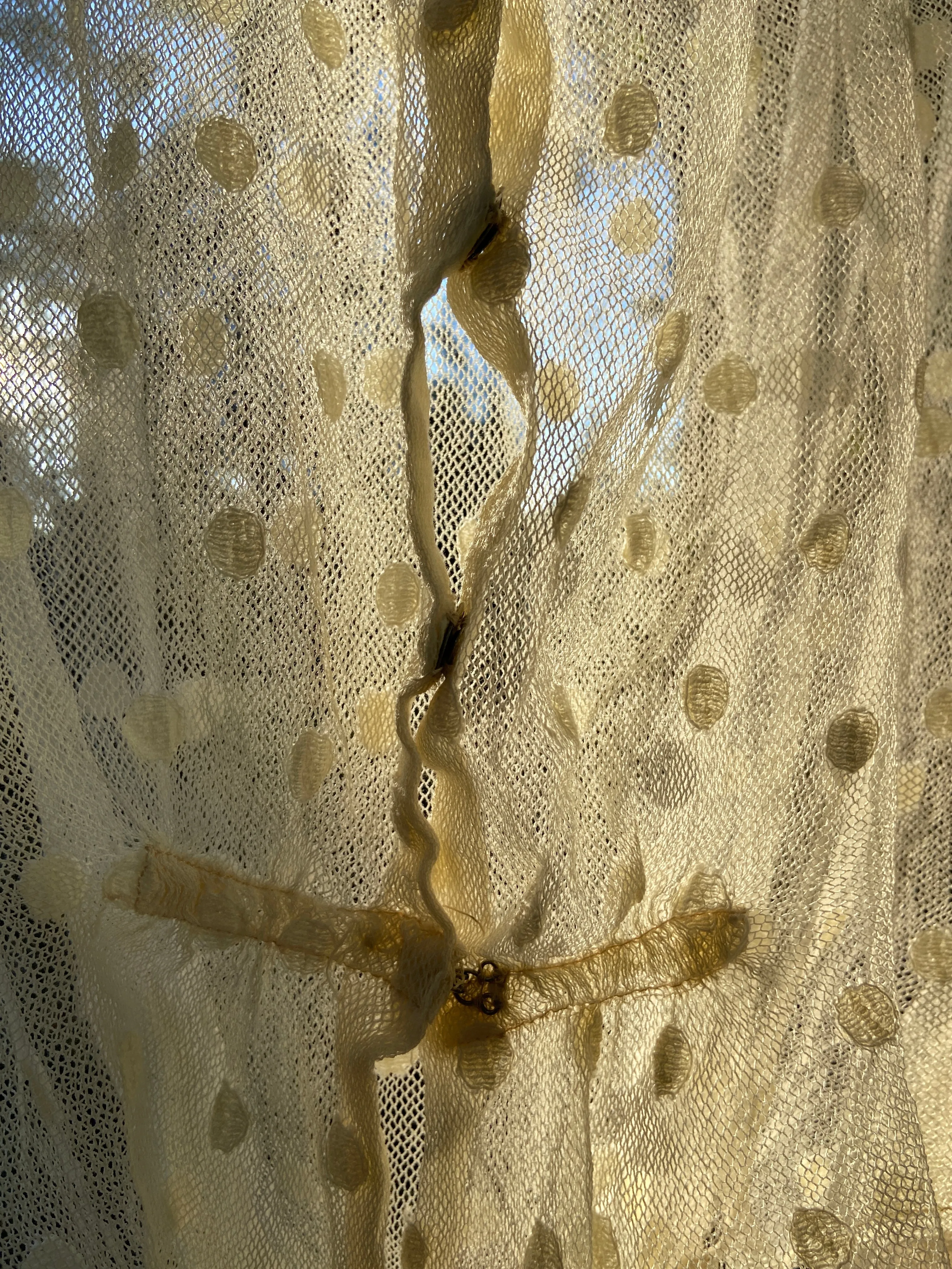 Edwardian Polka Dot Net Lace Dress