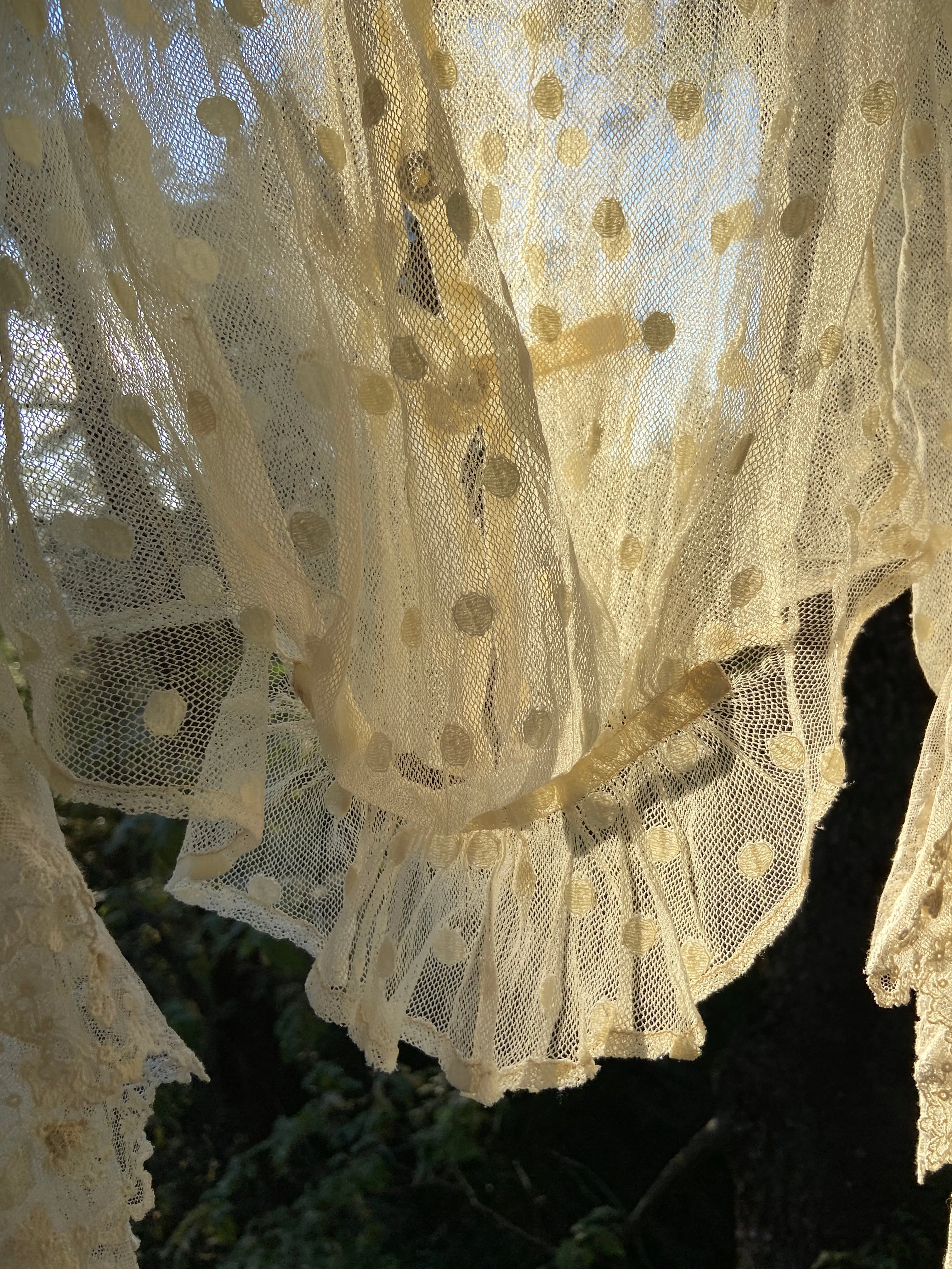 Edwardian Polka Dot Net Lace Dress