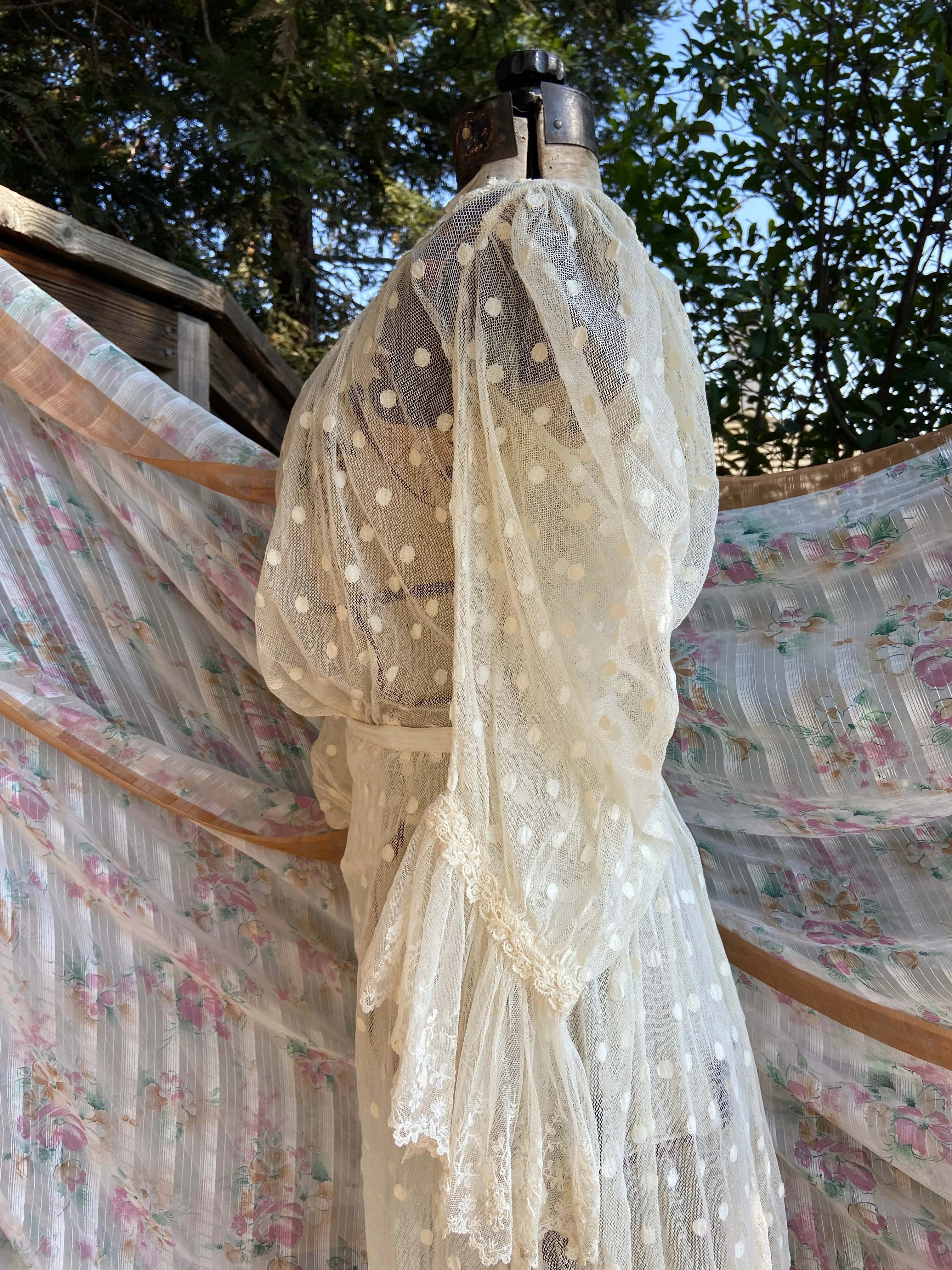 Edwardian Polka Dot Net Lace Dress