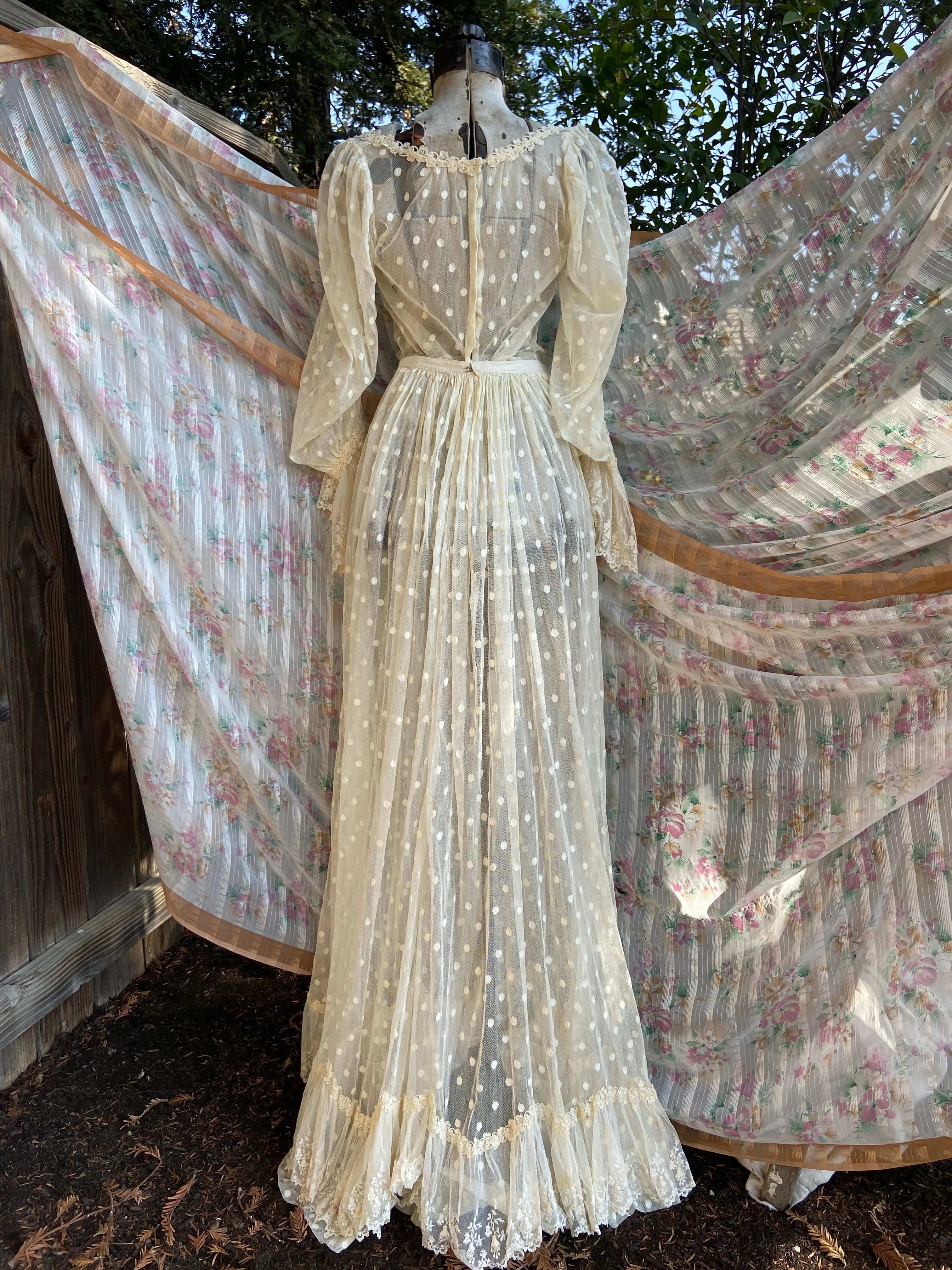Edwardian Polka Dot Net Lace Dress