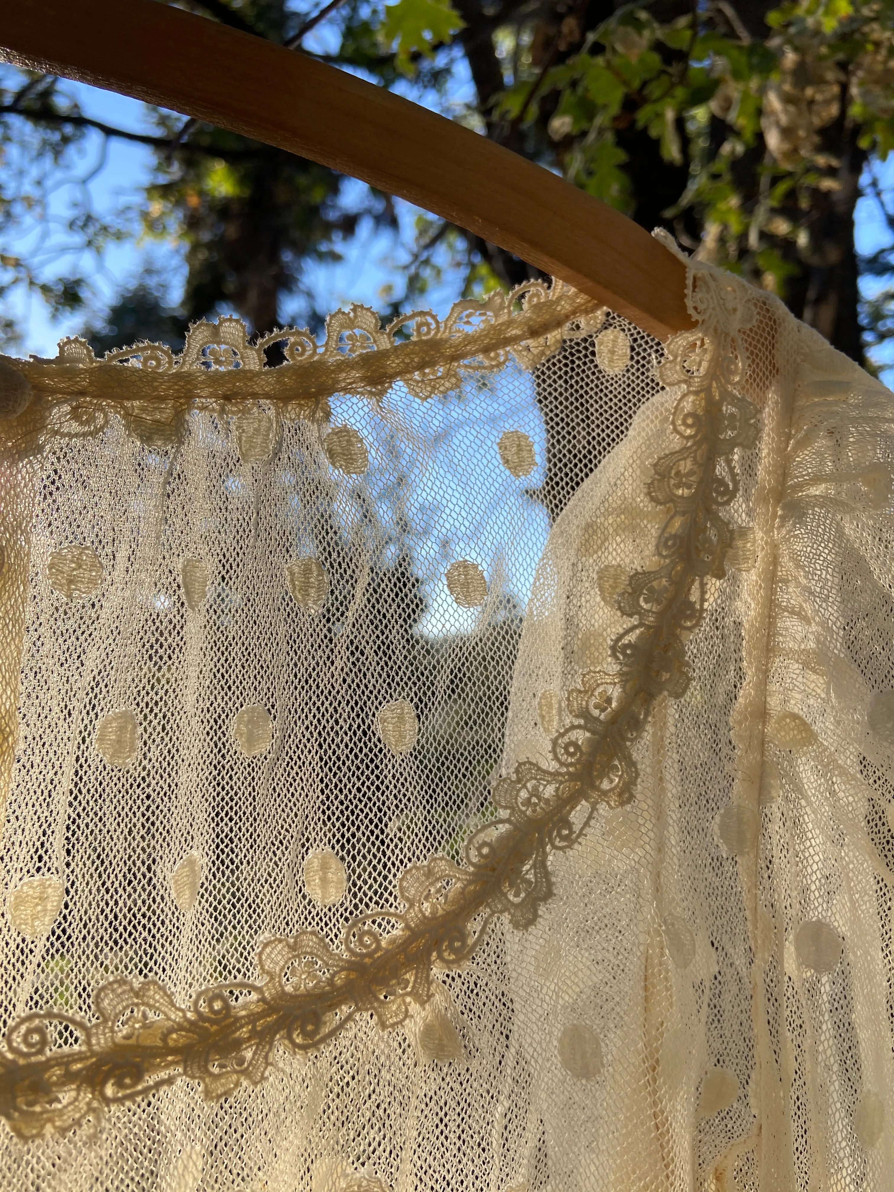 Edwardian Polka Dot Net Lace Dress