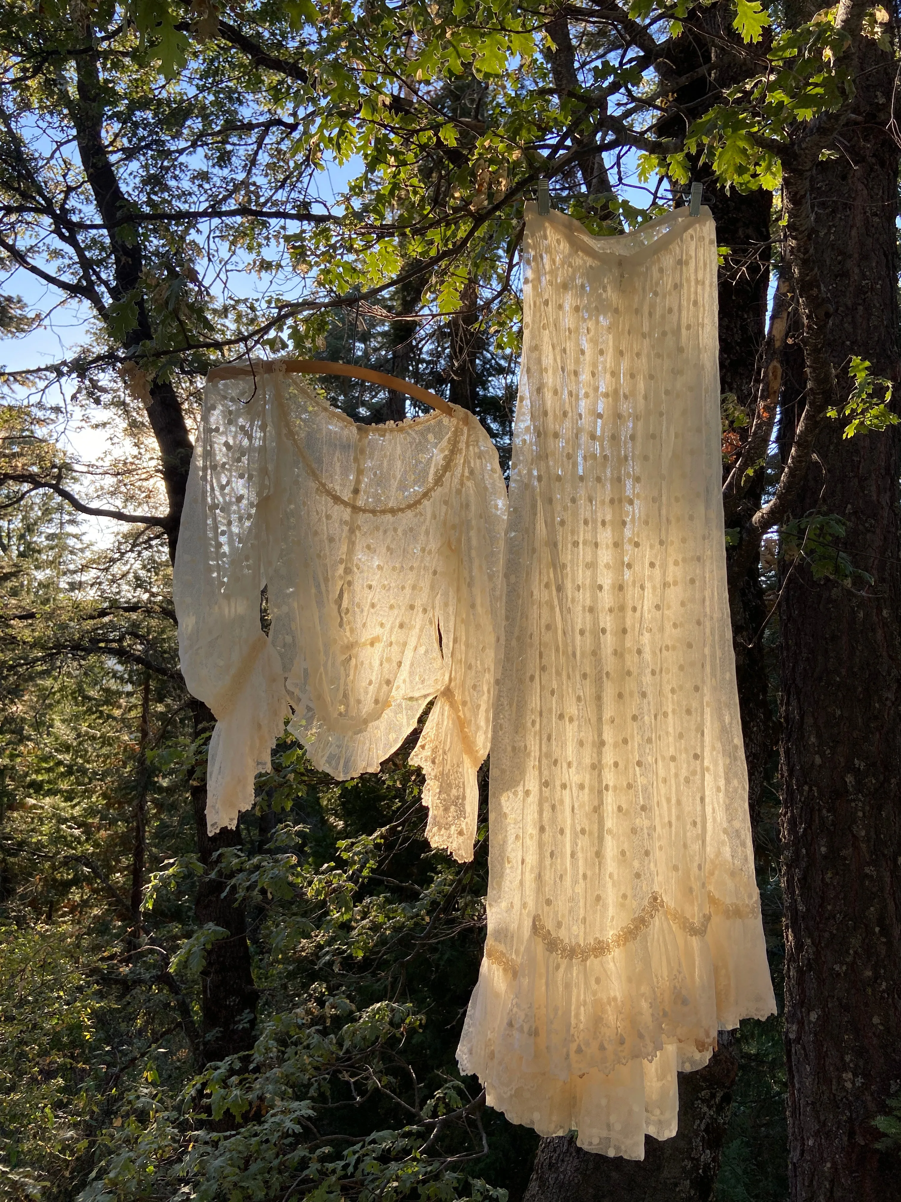 Edwardian Polka Dot Net Lace Dress