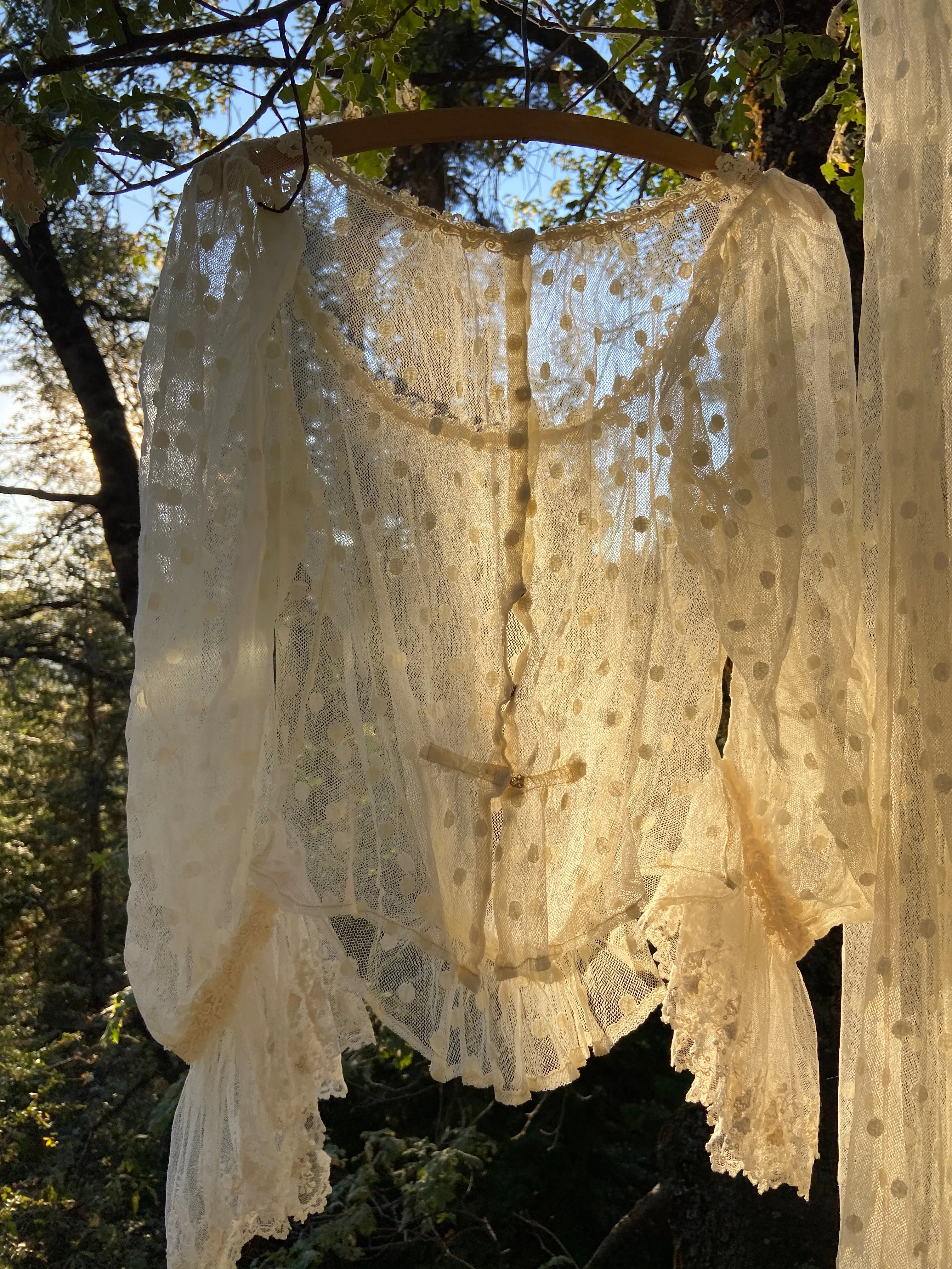 Edwardian Polka Dot Net Lace Dress