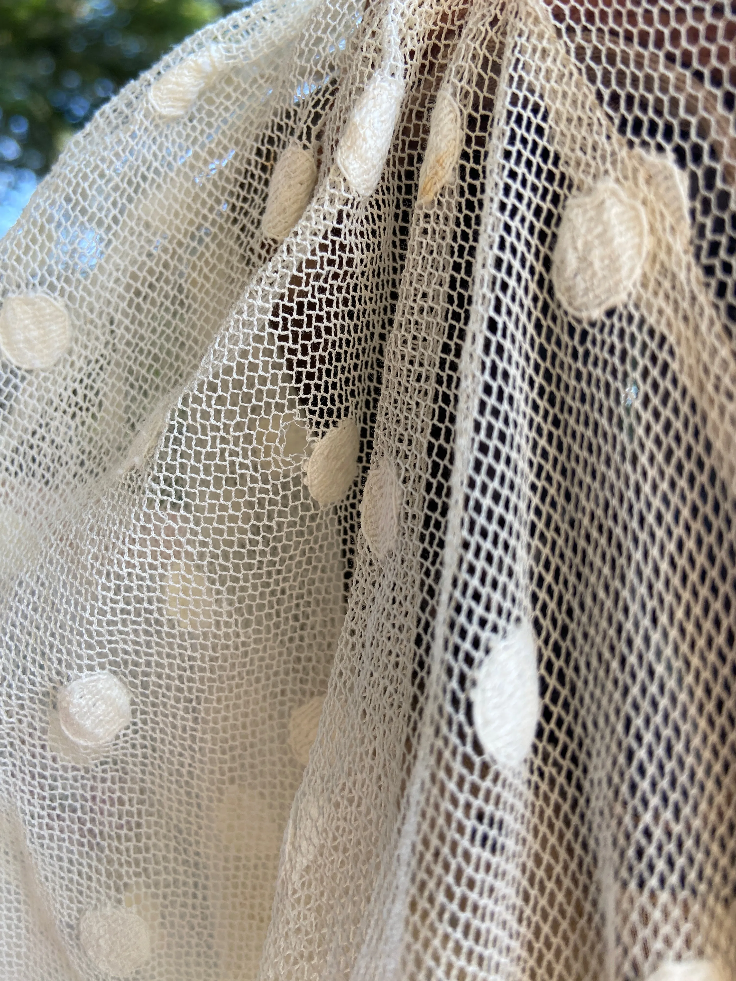 Edwardian Polka Dot Net Lace Dress