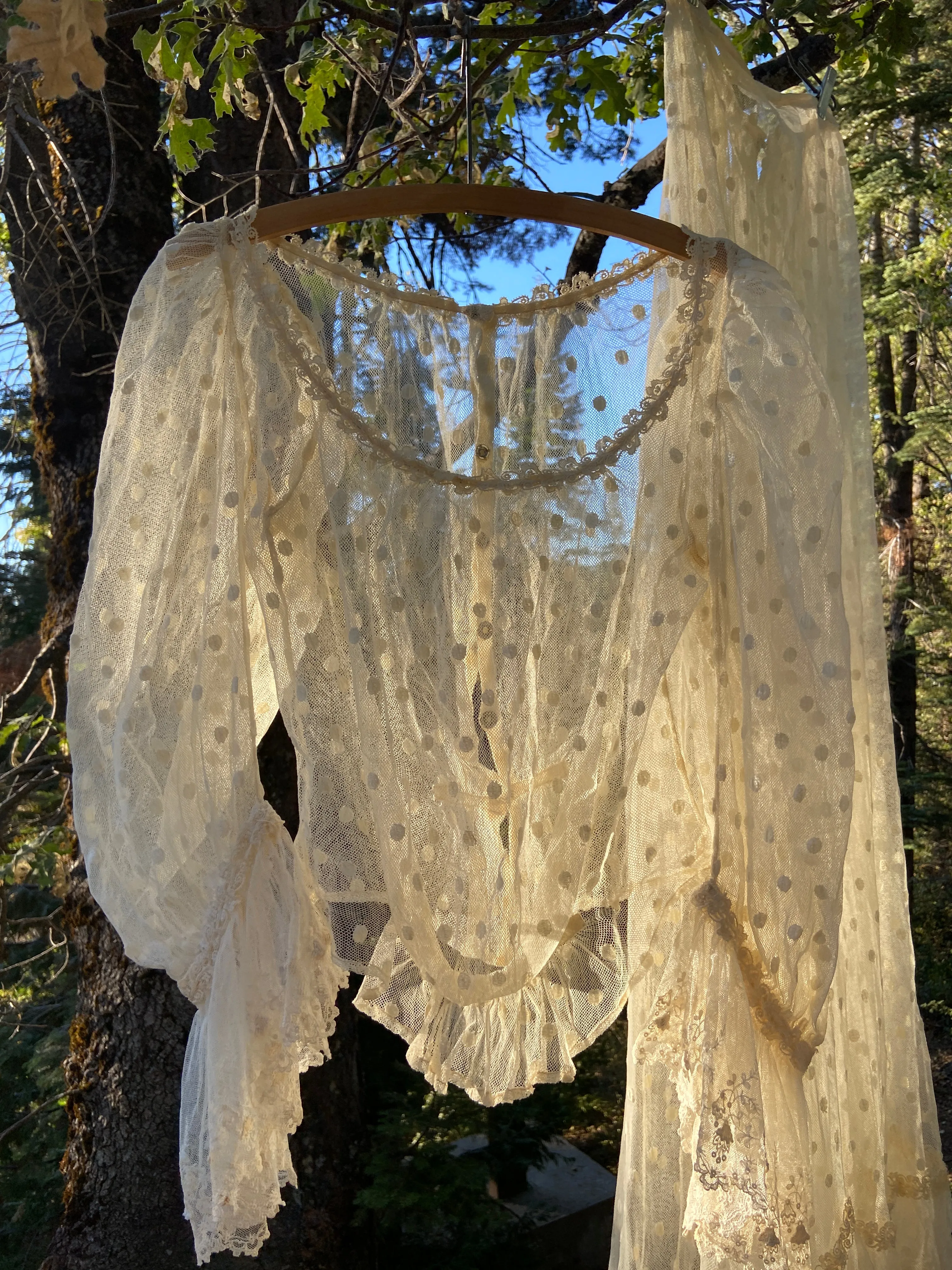 Edwardian Polka Dot Net Lace Dress