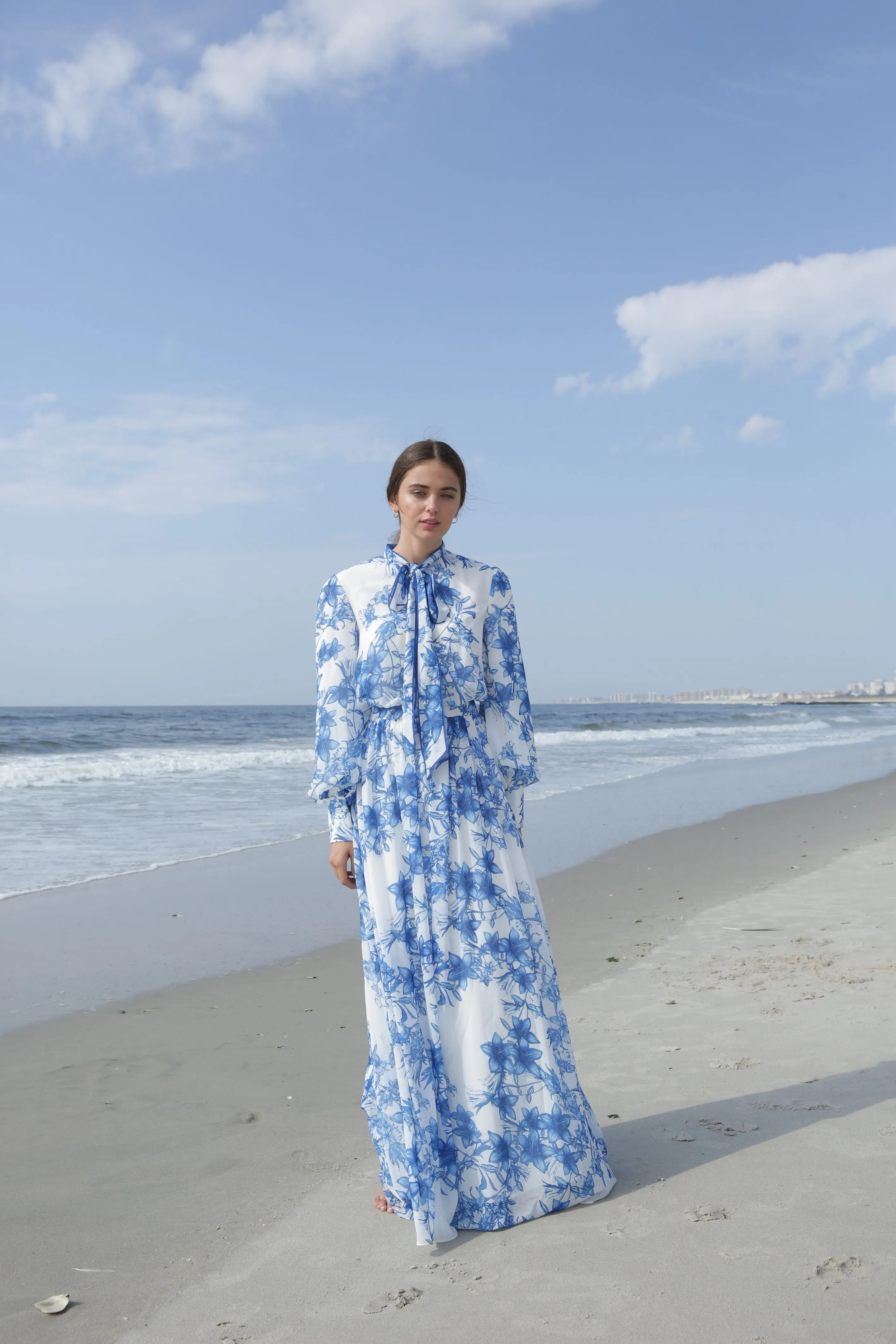 Gabrielle • Porcelain Print Gown
