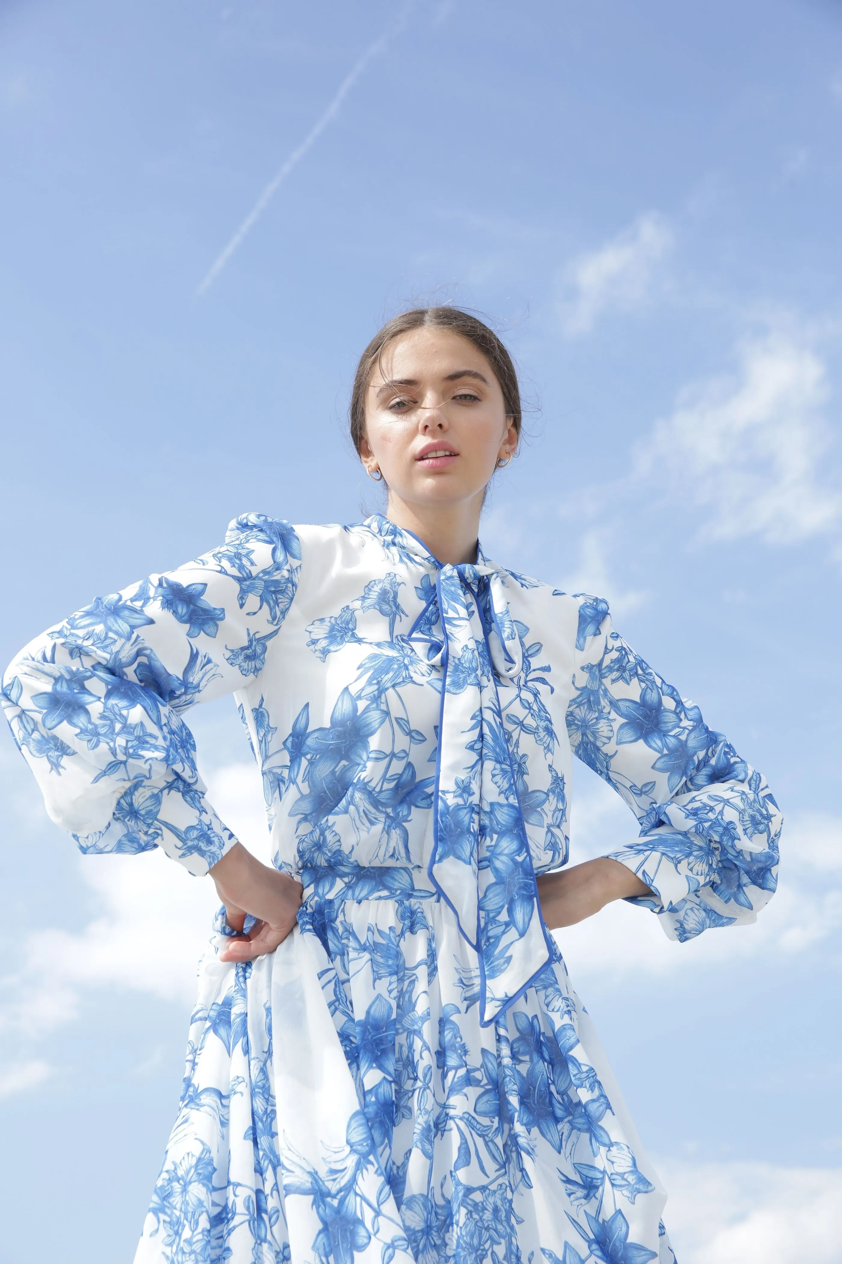 Gabrielle • Porcelain Print Gown