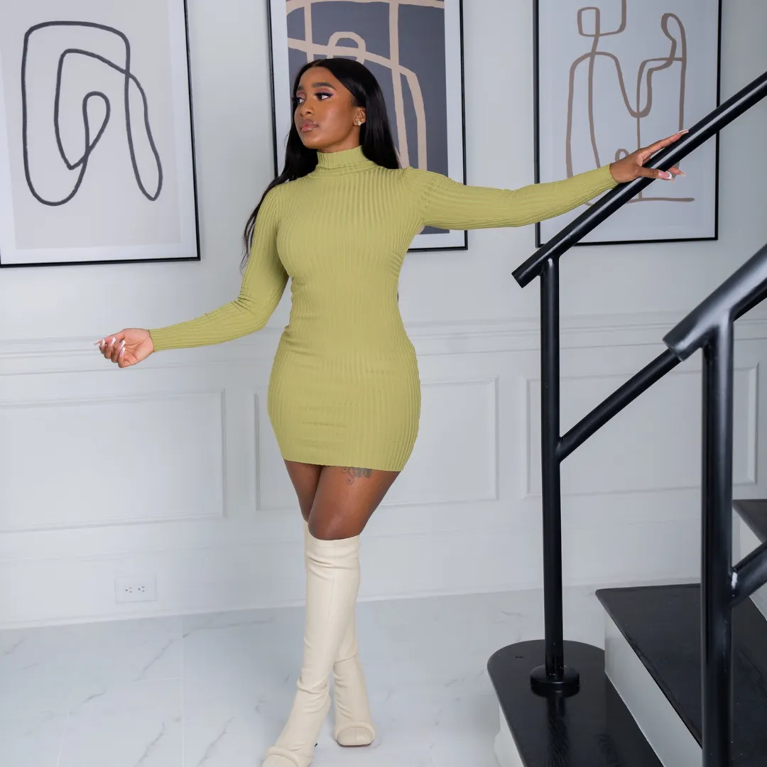 Grace Long Sleeve Ribbed Mini Dress