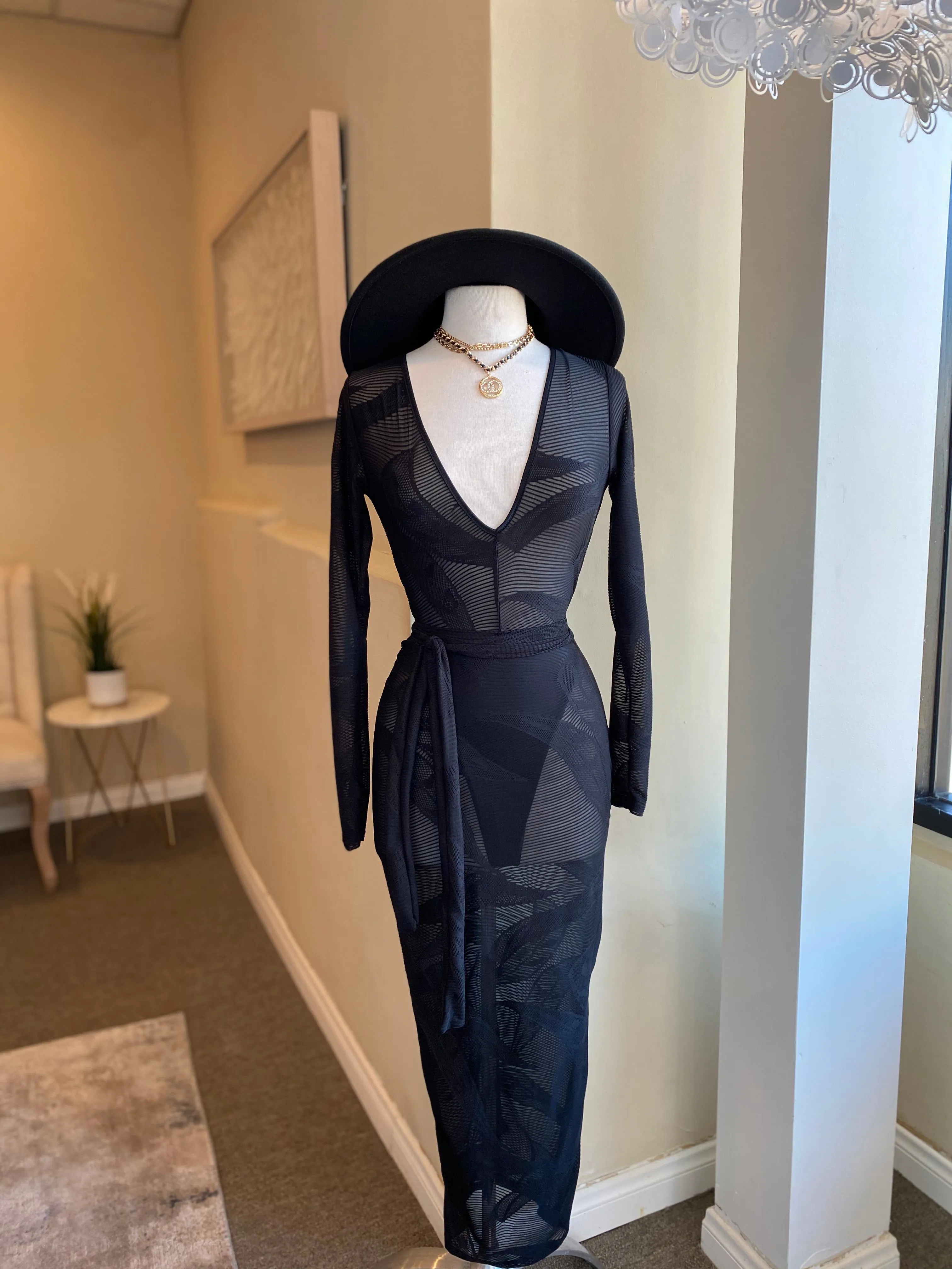 Long Sleeve Zipper Back Mesh Dress