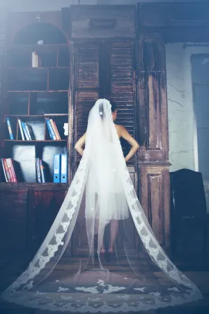 One-tier Cathedral Length Veil With Lace Appliqué Edge (#PB100)