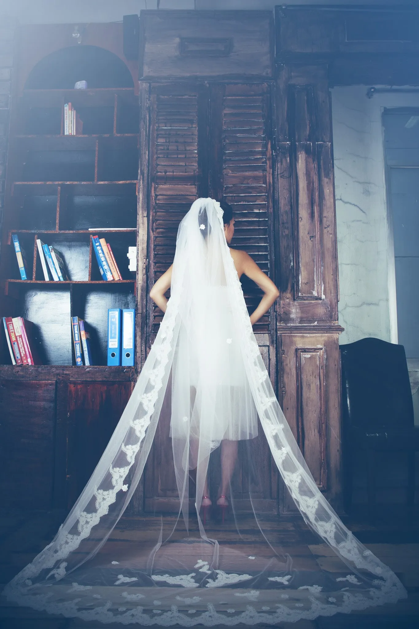 One-tier Cathedral Length Veil With Lace Appliqué Edge (#PB100)