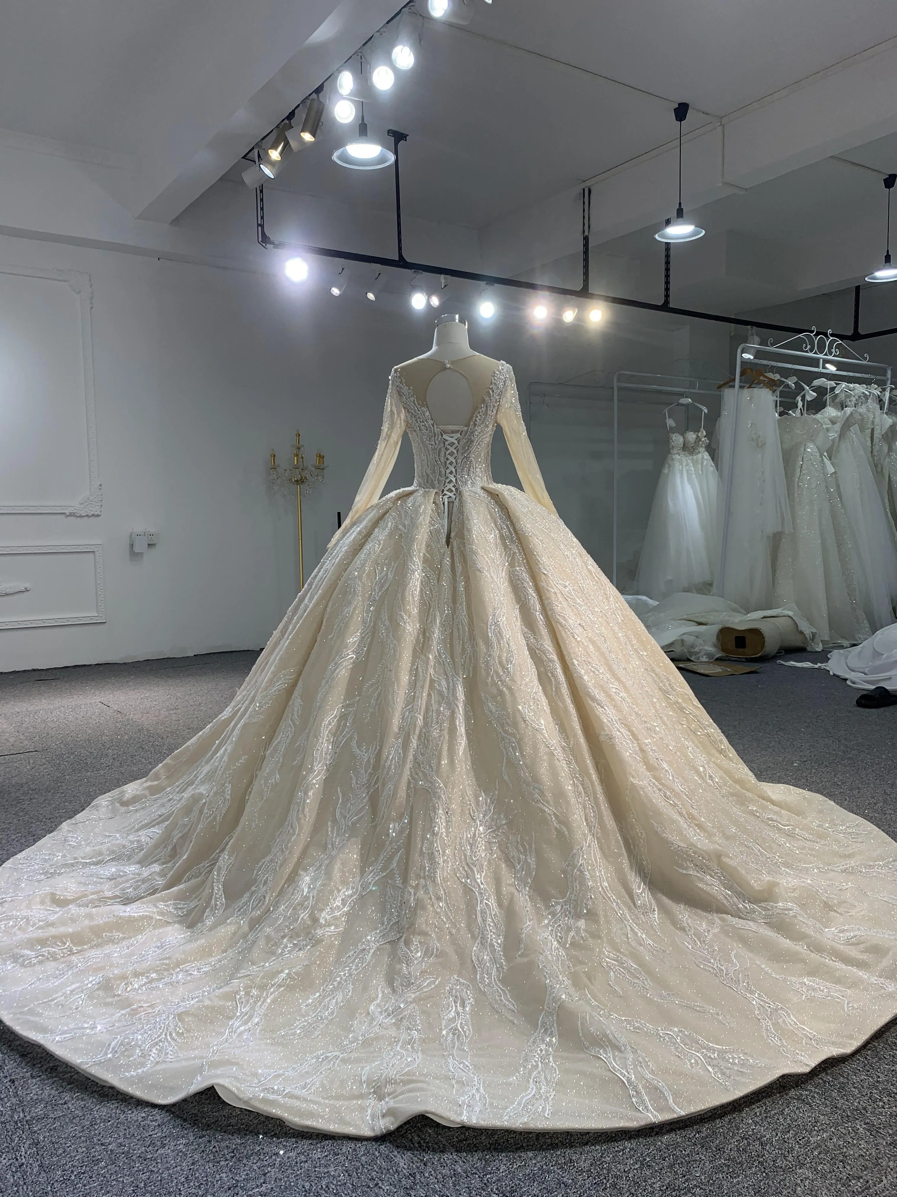 PD003- BYG CHAMPAGNE SWEETHEART NECKLINE BALL GOWN WITH LONG SLEEVES