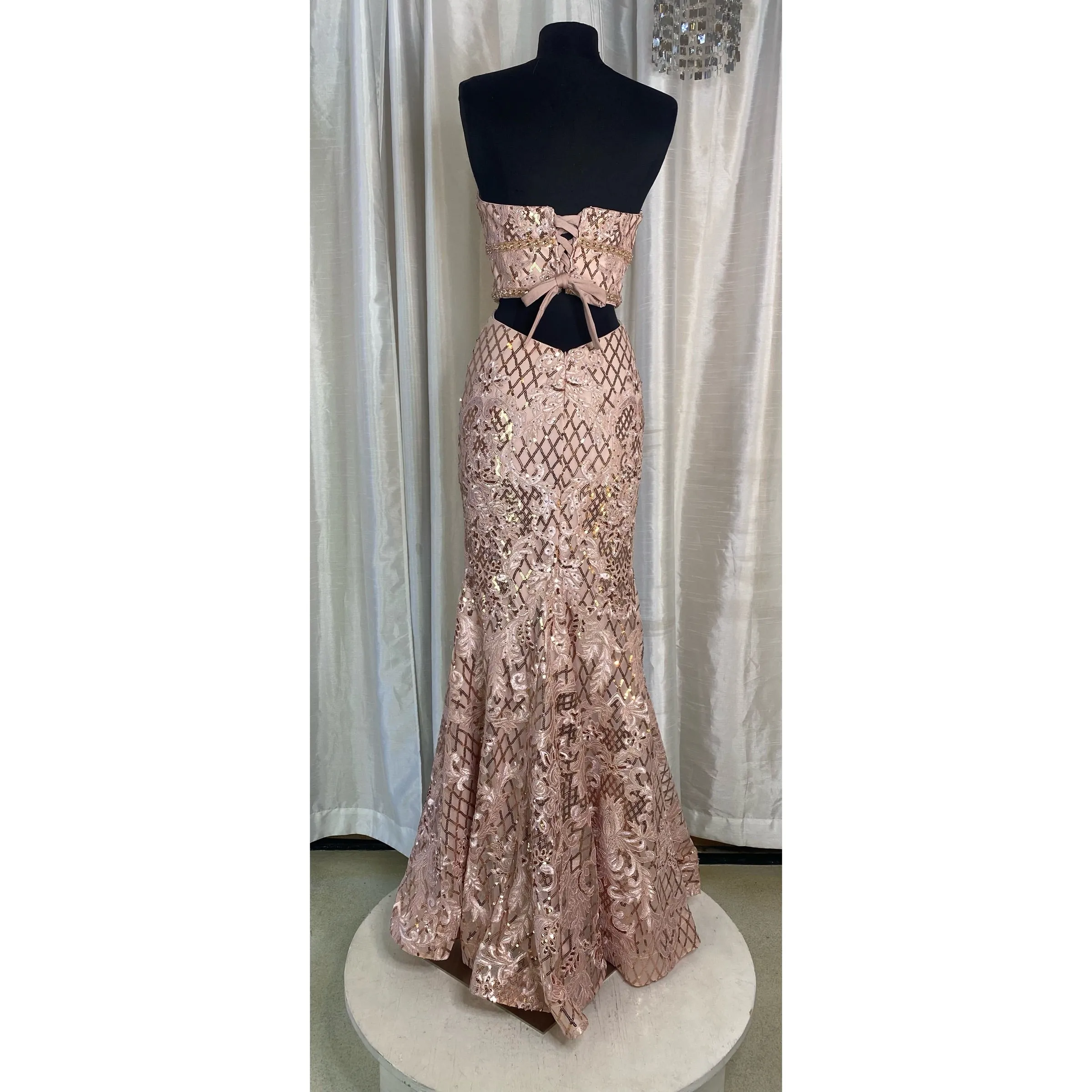 RACHEL ALLAN Style 7020 Long Gown Blush Size 0