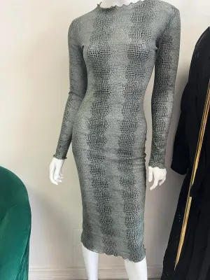 “Slime” Mesh Dress
