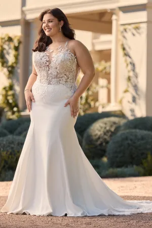 Sophia Tolli: Y3161FI - Coral
