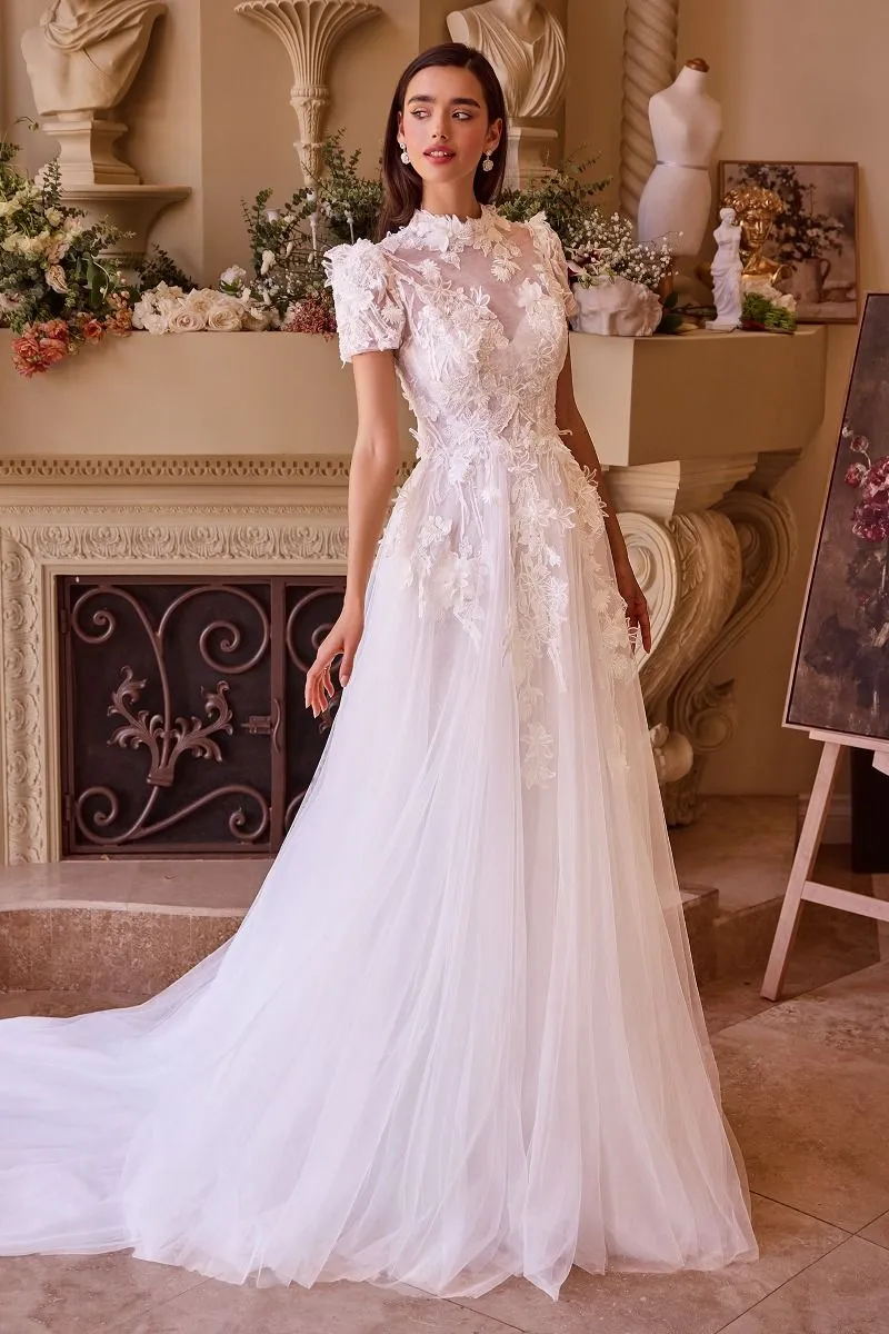 Two Looks In One Wedding Gown