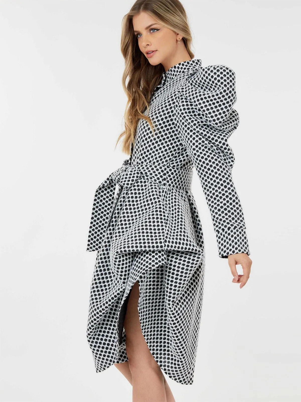 WOMEN'S LONG PUFF SLEEVE BUTTON CLOSURE COLORBLOCK SHIMMER MINI DRESS